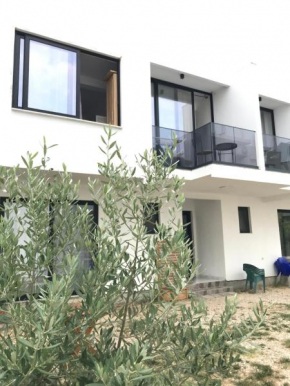 Rine Apartments